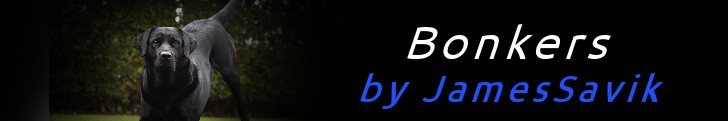 JamesSavik Bonkers Lg.jpg