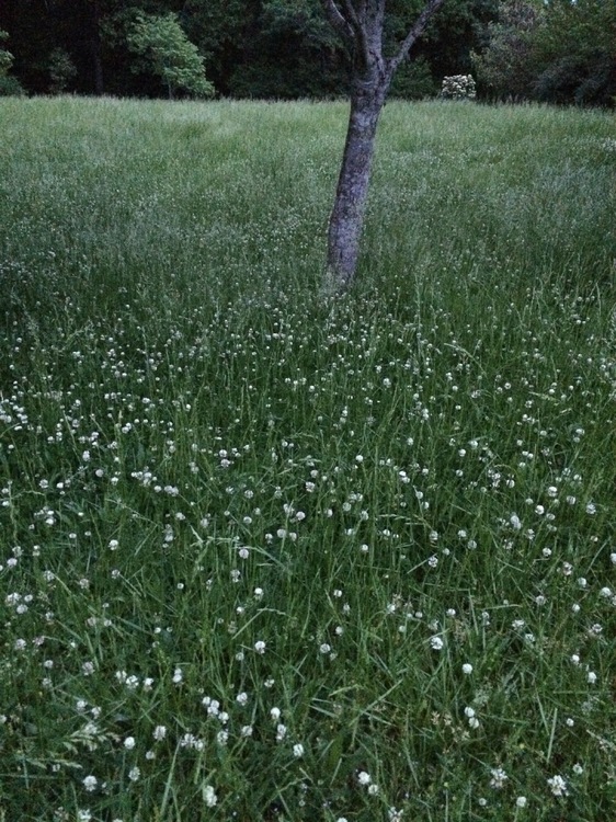 blog-0451842001465699914.jpeg