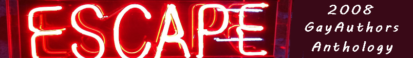 Summer 2008 Gay Authors Anthology - Escape
