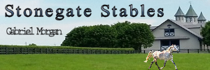 Gabriel Morgan Stonegate Stables Md.jpg