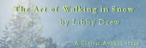Libby Drew Art of Walking in Snow Md.jpg