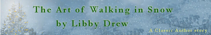 Libby Drew Art of Walking in Snow Lg.jpg