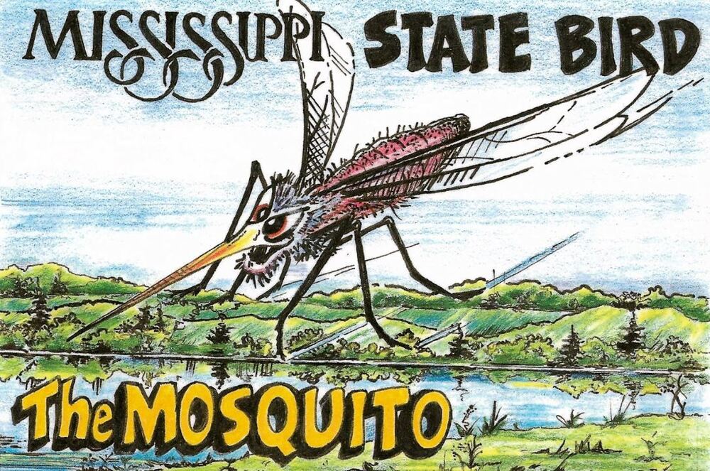 ms-state-bird.jpg