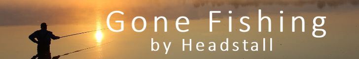 Gone Fishing by Headstall graphic banner