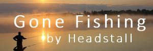 Headstall Gone Fishing Md.jpg