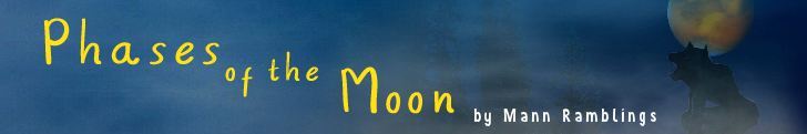 Phases of the Moon by Mann Ramblings