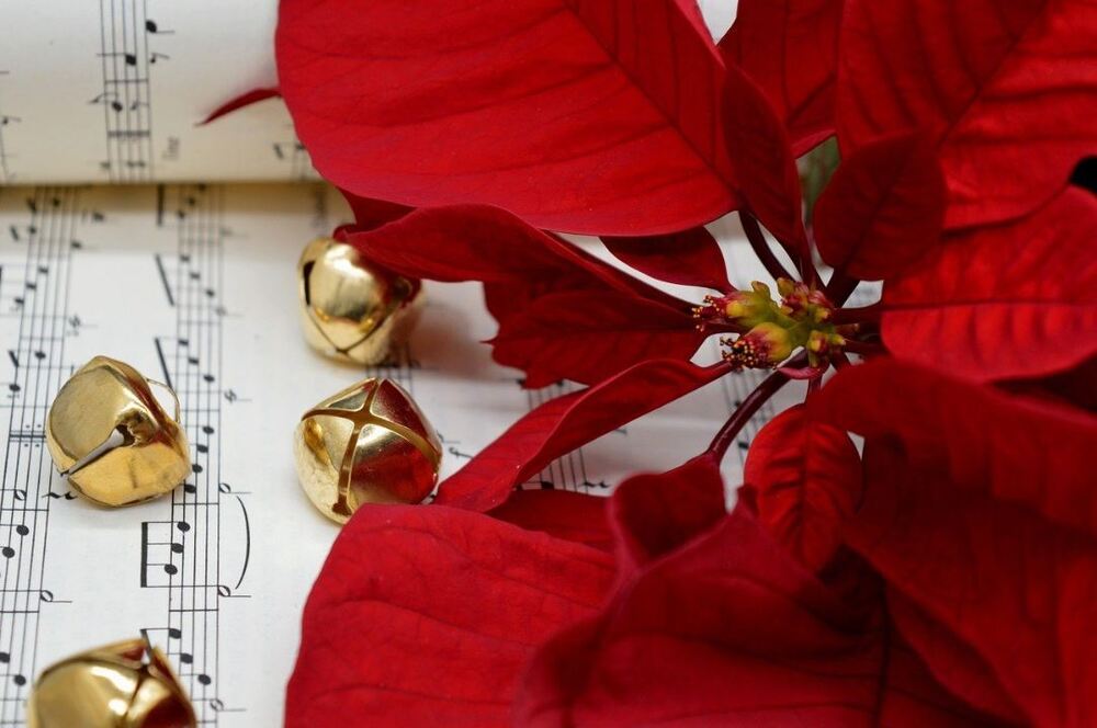 christmas-star-8405748.jpg