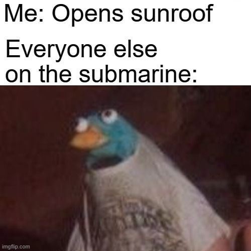 image.jpeg.152b5ffeb0fa3fb09ae0d1249db22a96.jpeg