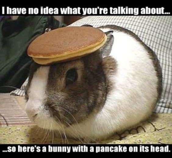 image.jpeg.aaf9b7c0457aecd8c568b9de5d35be9e.jpeg