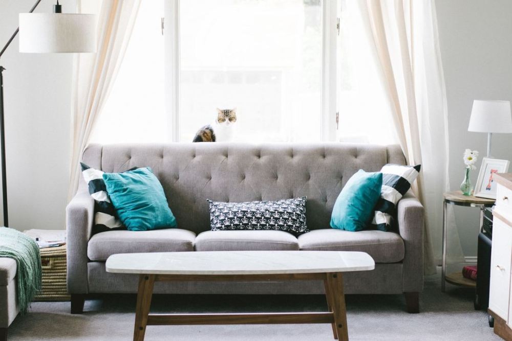 living-room-2569325.jpg