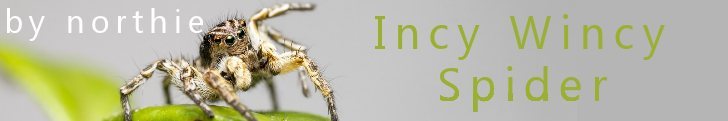 incy wincy spider by northie