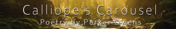 Parker Owens Calliopes Carousel Lg.jpg