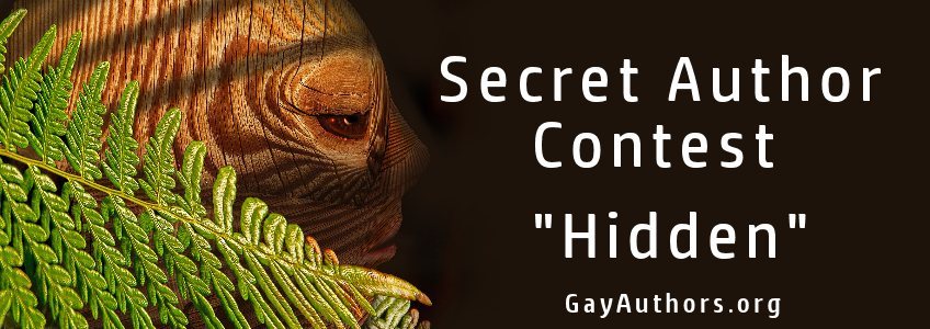 2024 Secret Author Story Banner.jpg