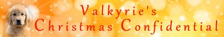 Valkyrie Christmas Confidential Lg.jpg