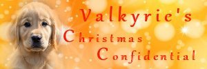 Valkyrie Christmas Confidential Md.jpg