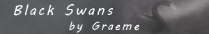 advertisement_alt
