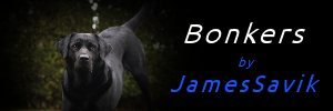 JamesSavik Bonkers Md.jpg