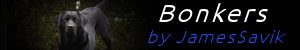advertisement_alt