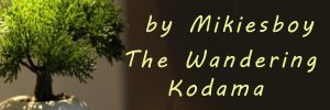 Mikiesboy Wandering Kodama Md.jpg