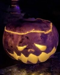 IMG_1990.jpeg