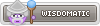 Wisdomatic